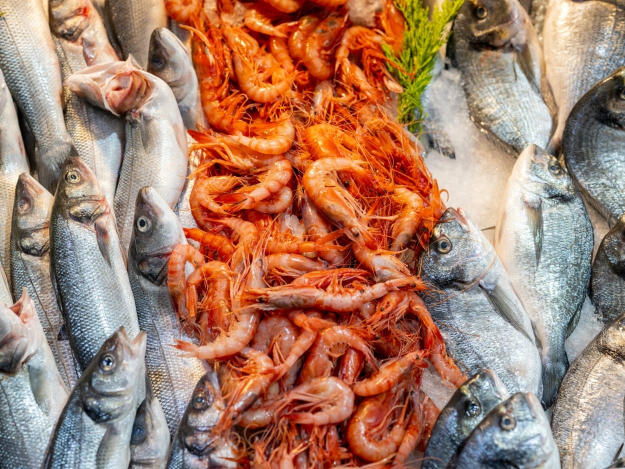 Seafood Export